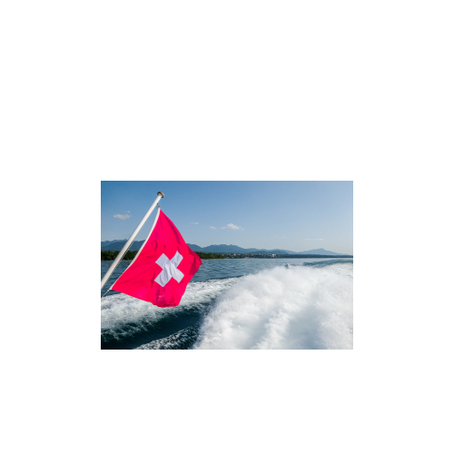 expatrié apprendre francais